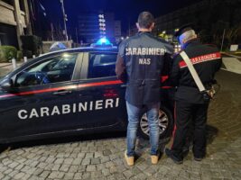 Catania, controlli dei Nas: sequestrata trattoria invasa da blatte