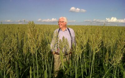 Agroindustria, morto Arturo Ferruzzi, aveva 84 anni. Oggi i funerali